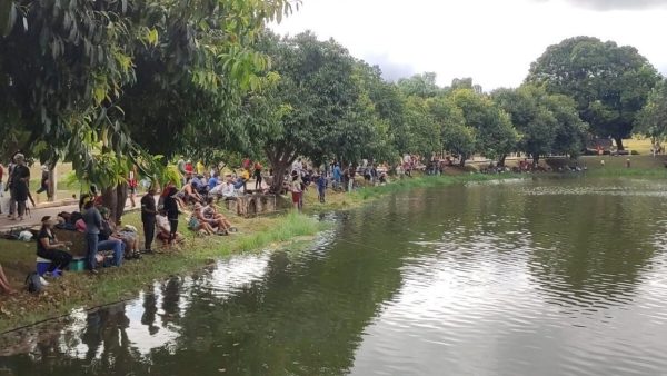A prefeitura de Trindade, na Região Metropolitana de Goiânia, vai despejar uma tonelada de peixes em dois lagos no Parque Lara Guimarães para a população pescar no próximo dia 29, feriado de Sexta-Feira da Paixão. A pescaria é gratuita das 7h às 17h.