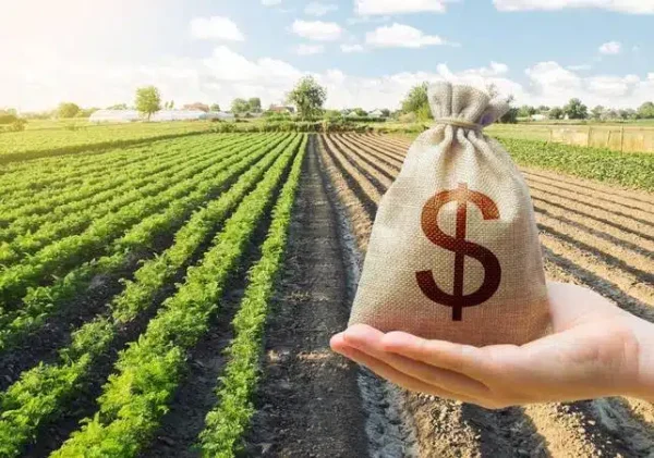 Produtores de Goiás e outros 15 estados afetados por eventos climáticos ou pela queda de preços agrícolas poderão renegociar dívidas do crédito rural para investimentos, autorizou nesta quinta-feira (28) o Conselho Monetário Nacional (CMN). Os pedidos precisam ser feitos até 31 de maio.￼