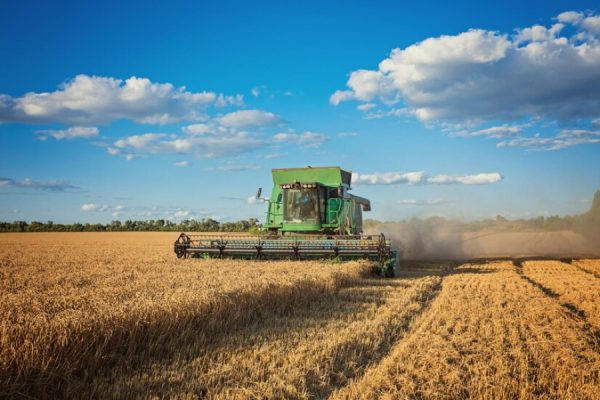 Goiás alcançou o 1° lugar em Potencial de Mercado em 2023, no Ranking de Competitividade dos estados. A pesquisa, realizada pelo Centro de Liderança Pública (CLP), avaliou indicadores como o tamanho do Produto Interno Bruto (PIB) de cada estado, o crescimento potencial da força de trabalho nos próximos anos e a dinâmica de crescimento do PIB nos últimos quatro anos.