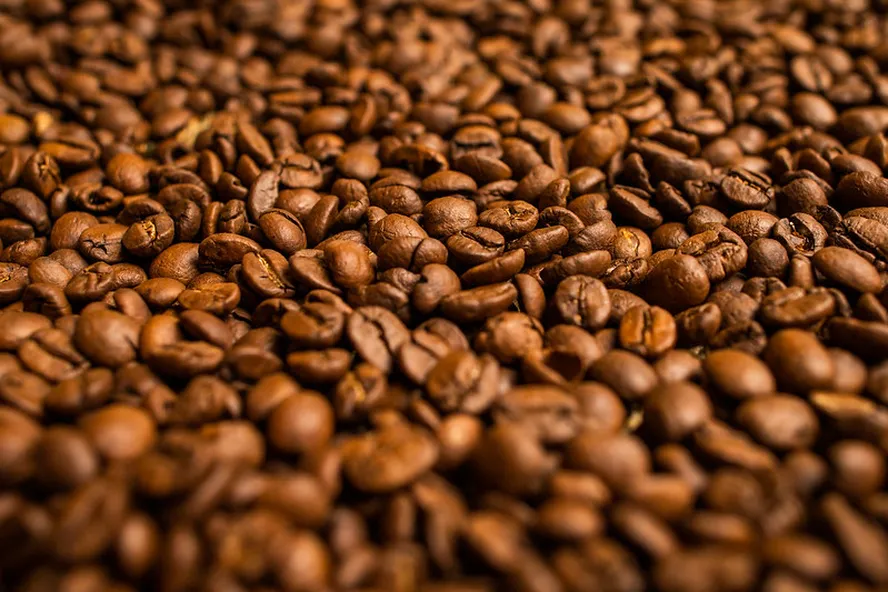 A produção de café em Goiás deve atingir a marca de 263,5 mil sacas na safra 2024 – um aumento significativo de 30,6% em relação ao ano anterior. A estimativa foi divulgada nesta quinta-feira (23/5) pela Companhia Nacional de Abastecimento (Conab), no 2º Levantamento da Safra de Café do ano.