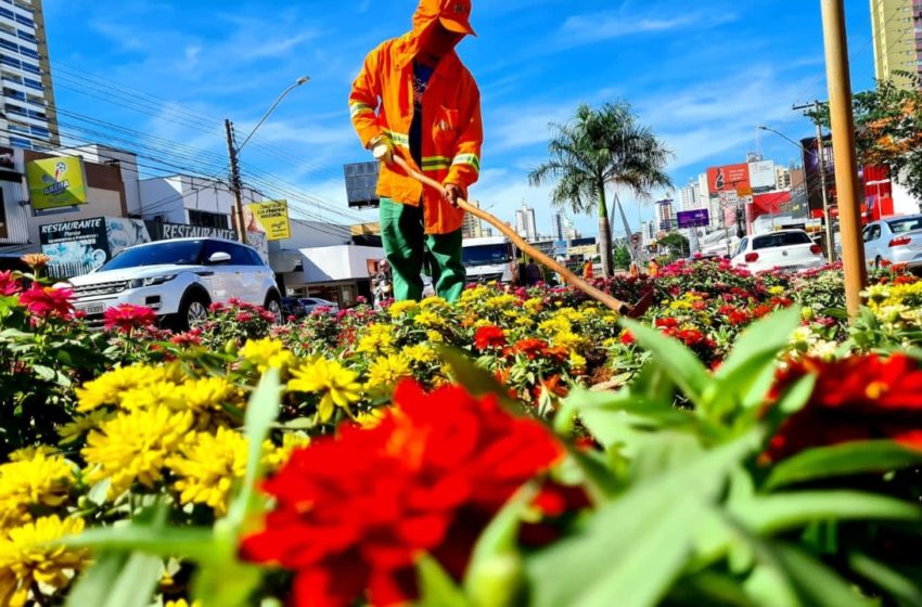 Prefeitura anuncia força-tarefa de paisagismo em avenidas de Goiânia