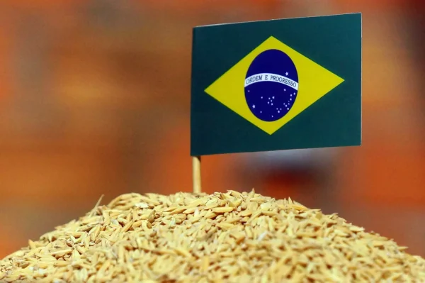 O governo federal, por meio da Companhia Nacional de Abastecimento (Conab), comprou, nesta quinta-feira (6/6), 263 mil toneladas de arroz importado em um leilão público. As negociações começaram às 9h e terminaram por volta das 10h10.