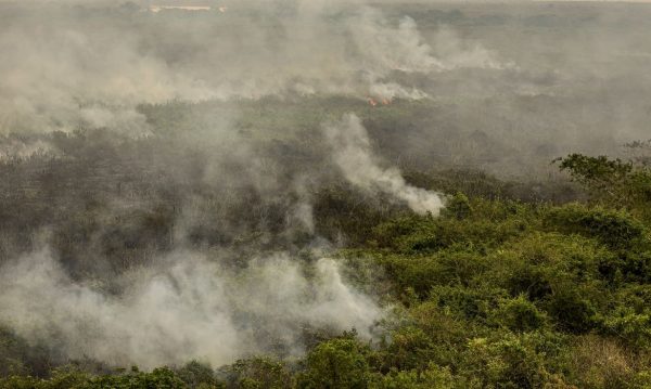 As frentes de combate aos incêndios no Pantanal foram reforçadas, com a chegada de mais uma equipe da Força Nacional a Corumbá, no Mato Grosso do Sul. O efetivo se juntará às equipes locais, que atuarão também em 13 bases avançadas espalhadas pelo bioma.