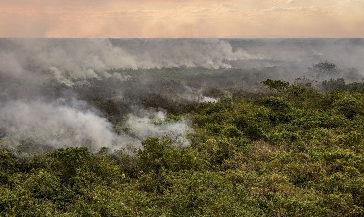 O Pantanal enfrenta desde 2019 o período mais seco das últimas quatro décadas e a tendência é que 2024 tenha a pior crise hídrica já observada no bioma, de acordo com um estudo inédito lançado nesta quarta-feira (3). Os resultados apontam que, nos primeiros quatro meses do ano, quando deveria ocorrer o ápice das inundações, a média de área coberta por água foi menor do que a do período de seca do ano passado.