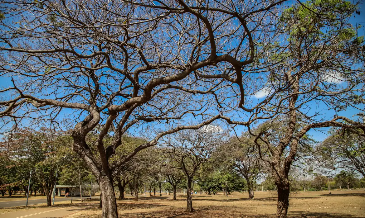 O Instituto Nacional de Meteorologia (Inmet) divulgou um alerta de perigo decorrente da baixa umidade em localidades da Região Centro-Oeste e do Tocantins. O período de maior risco vai das 13 às 18 horas desta terça-feira (16).