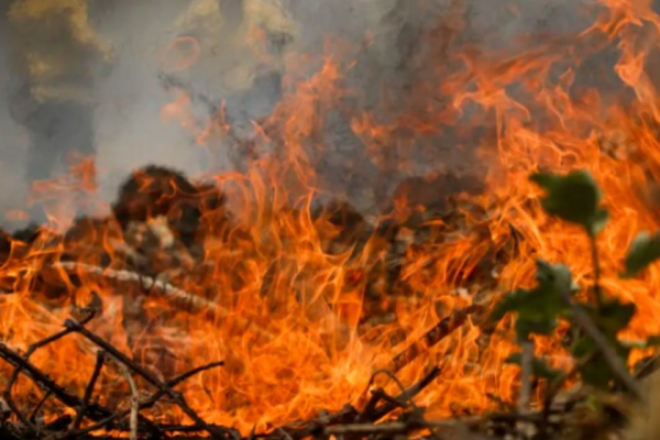 Os estados da Amazônia foram o palco da imensa maioria dos focos de incêndios e queimadas registrados nas últimas 48 horas, de acordo com dados do Instituto Nacional de Pesquisas Especiais (Inpe).