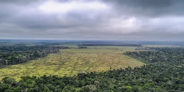 Os alertas de desmatamento registrados pelo governo federal na Amazônia caíram 45,7% no período de agosto de 2023 a julho de 2024. O número de 4.314,76 quilômetros quadrados (km²) desmatados, o menor da série histórica iniciada em 2016, foi registrado pelo Instituto Nacional de Pesquisas Espaciais (Inpe) pelo Sistema de Detecção do Desmatamento em Tempo Real (Deter)