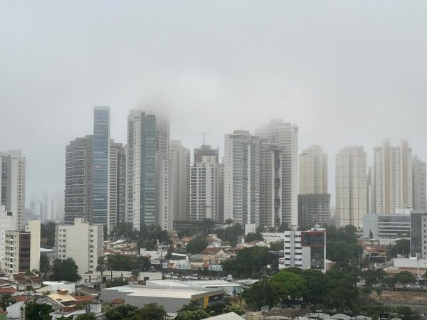 O goianiense acordou neste domingo (11/08) incrédulo com a temperatura em pleno mês de agosto – tradicionalmente quente. Por volta das 6h00 os termômetros marcavam impressionantes 10 graus! O motivo da mudança repentina de clima foi a frente fria que atinge a maior parte do país.