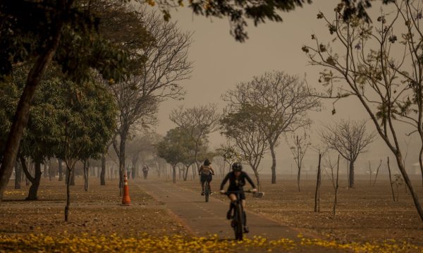 Em meio ao segundo dia consecutivo de forte nevoeiro em diversas regiões brasileiras, proveniente da fumaça de incêndios registrados no Norte e no Sudeste do país, o Ministério da Saúde orientou que a população evite, ao máximo, a exposição ao ar livre e a prática de atividades físicas.