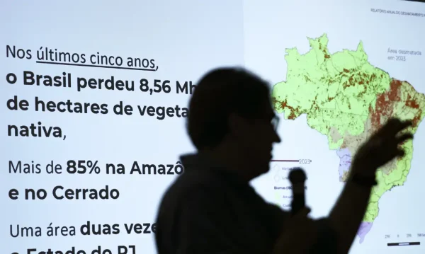 A cobertura e o uso da terra pela ação do homem no Brasil continuam a mudar aumentando os riscos climáticos, aponta um mapeamento divulgado, nesta quarta-feira (21), pela MapBiomas.