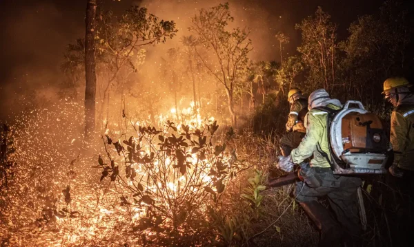 De janeiro a agosto de 2024 os incêndios no Brasil já atingiram 11,39 milhões de hectares do território do país, segundo dados do Monitor do Fogo Mapbiomas, divulgados nesta quinta-feira (12). Desse total, 5,65 milhões de hectares foram consumidos pelo fogo apenas no mês de agosto, o que equivale a 49% do total deste ano.