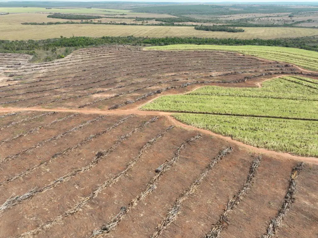 A Operação Mata Atlântica em Pé, realizada em Goiás, aplicou R$ 699.012 em multas referentes à supressão de vegetação em territórios de Rio Quente, Cristalina e Corumbaíba.