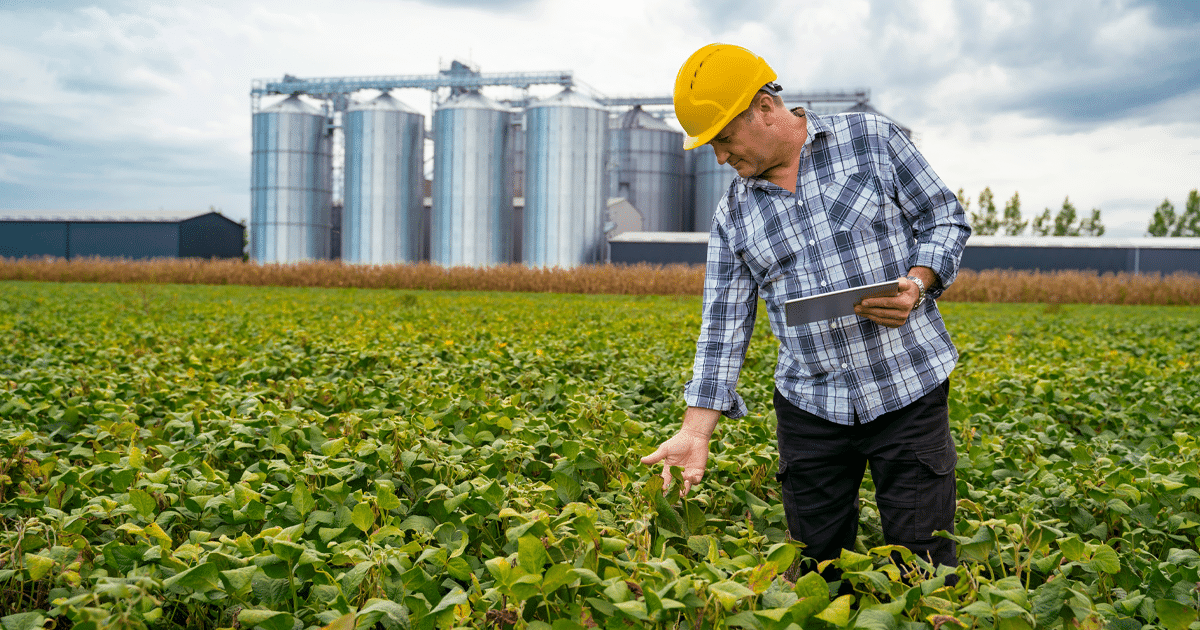 Onze municípios goianos estão entre os 100 mais prósperos do agronegócio brasileiro em 2023. As informações fazem parte de mapeamento divulgado pelo Ministério da Agricultura e Pecuária, por meio da Secretaria de Política Agrícola (Mapa/SPA), nesta quinta-feira (17/10).