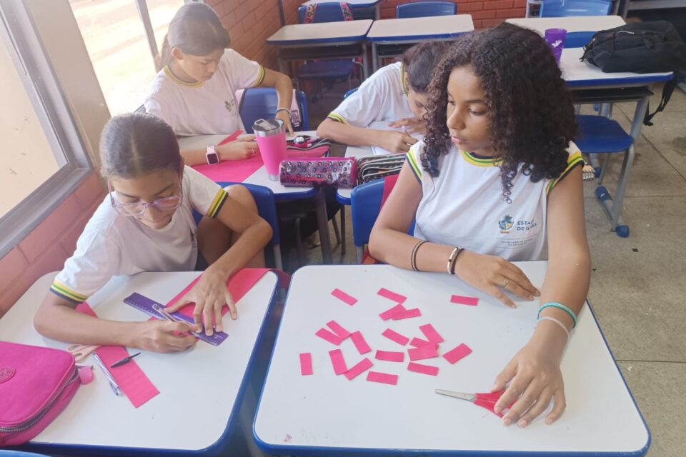 Alunos da rede pública estadual de Goiás se destacaram na primeira edição da Olimpíada do Tesouro Direto de Educação Financeira(Olitef), conquistando 96 medalhas de ouro, 214 de prata, 231 de bronze e 382 diplomas de mérito.