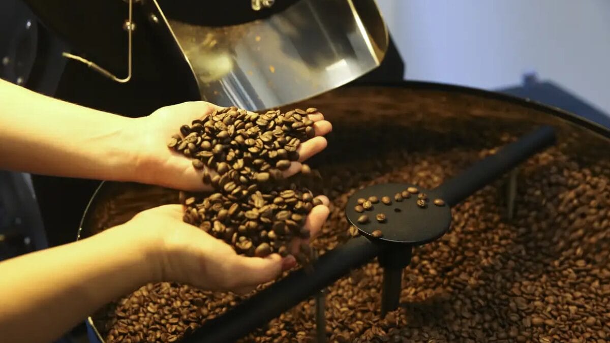 Marcas de café projetam um aumento nos preços entre o fim deste ano e janeiro de 2025 que deve ultrapassar os 40%.