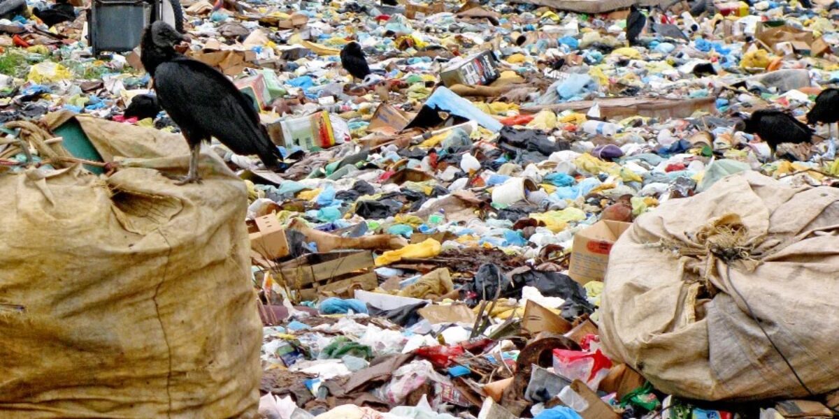 Goiás ainda enfrenta o desafio de eliminar 140 lixões ativos que continuam prejudicando o meio ambiente e a saúde pública.